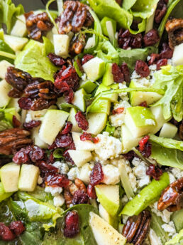 a close up photo of salad with diced apples, gorgonzola cheese, and dried cranberries