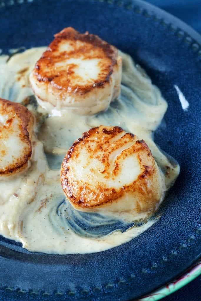 Pan Seared Scallops with Vermouth Cream Sauce