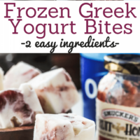 Frozen Greek Yogurt Bites