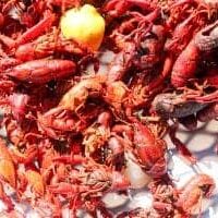 Louisiana Crawfish Boil Recipe