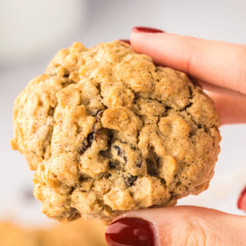 A close up photo of a hand holding a gluten free oatmeal raisin cookie