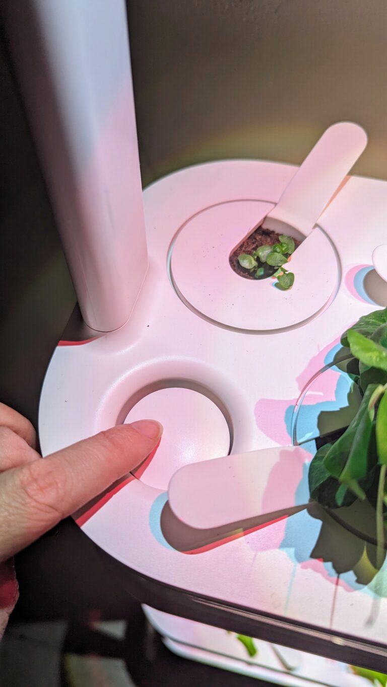 My Honest Review of Click and Grow Indoor Garden (2026) + Video