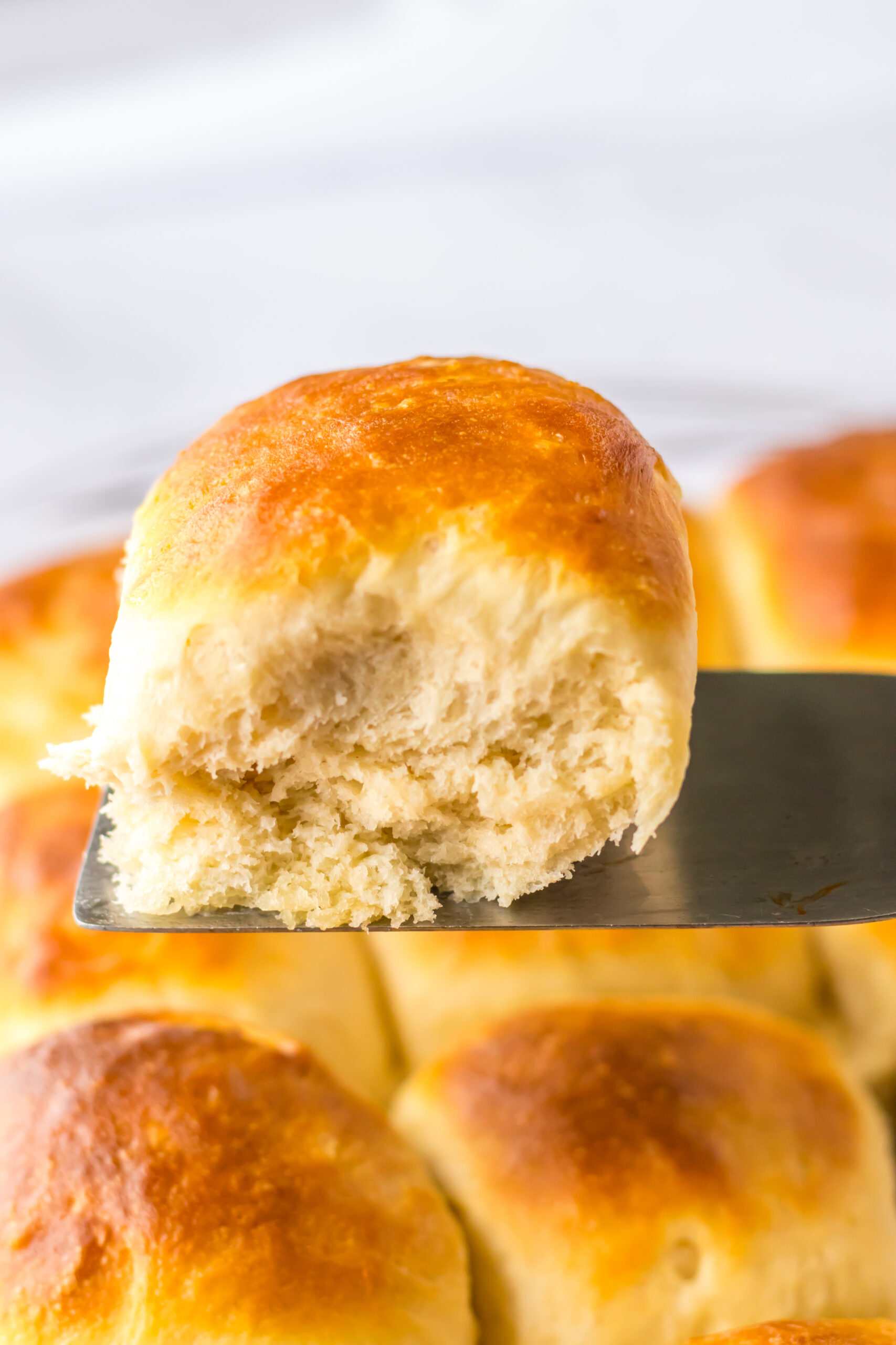Easy Fluffy Yeast Rolls - Recipe by Blackberry Babe