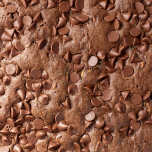 a close up photo of chocolate zucchini cake with chocolate chips