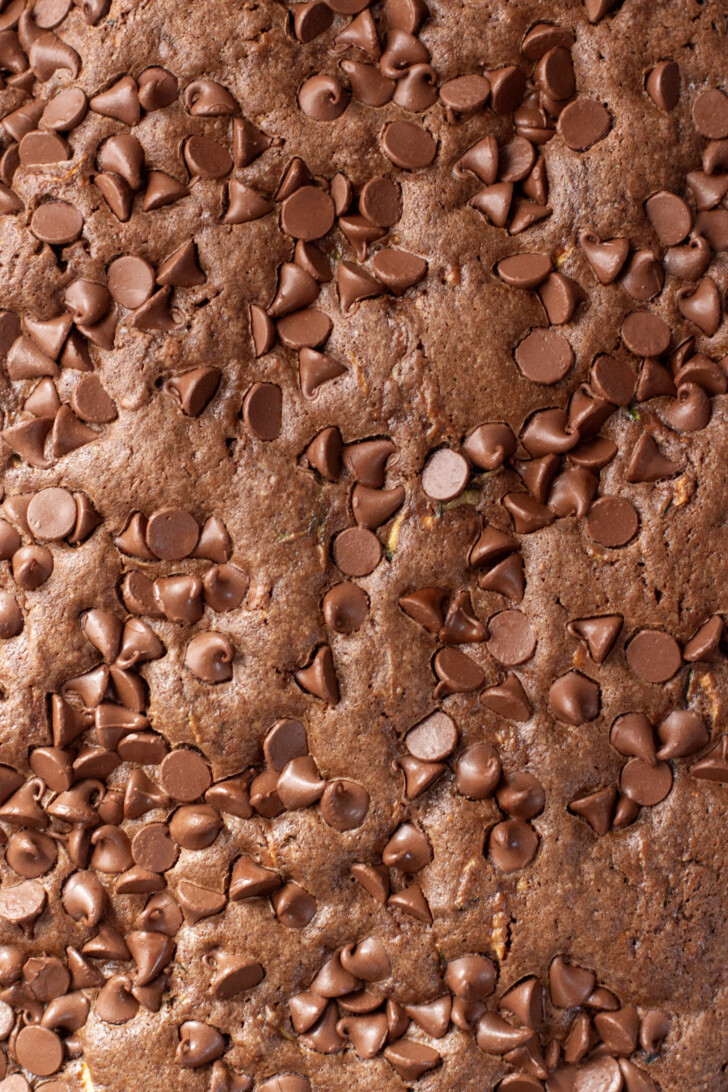 a close up photo of chocolate zucchini cake with chocolate chips