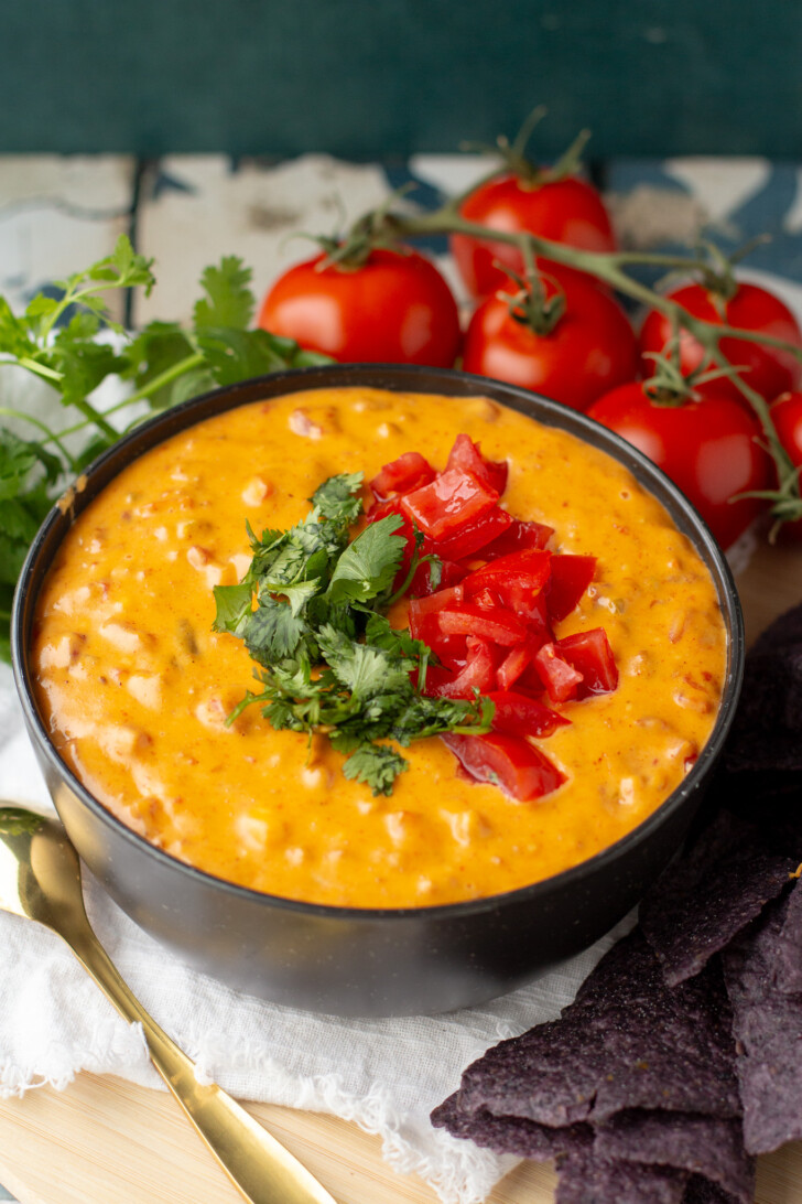 a bowl of Rotel Dip