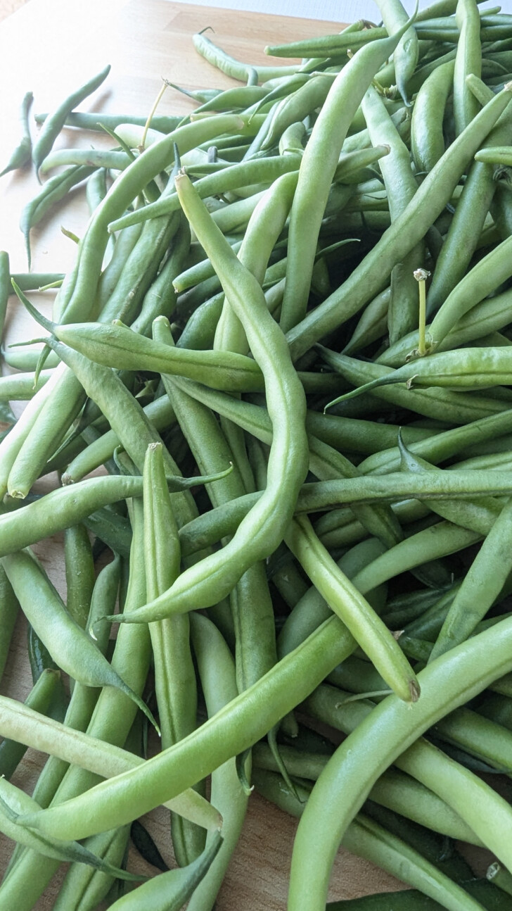 untrimmed fresh green beans