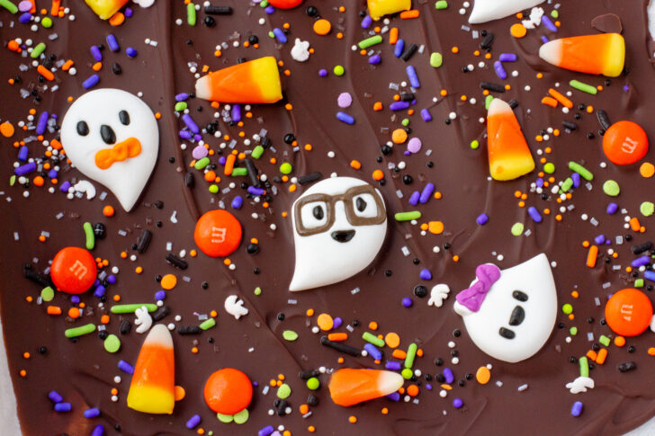 a close up photo of ghost boo bark